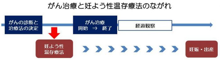 がん治療と妊よう性温存療法のながれ