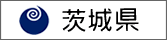 錧̂΍